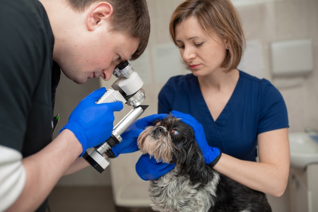 O que é o Glaucoma?